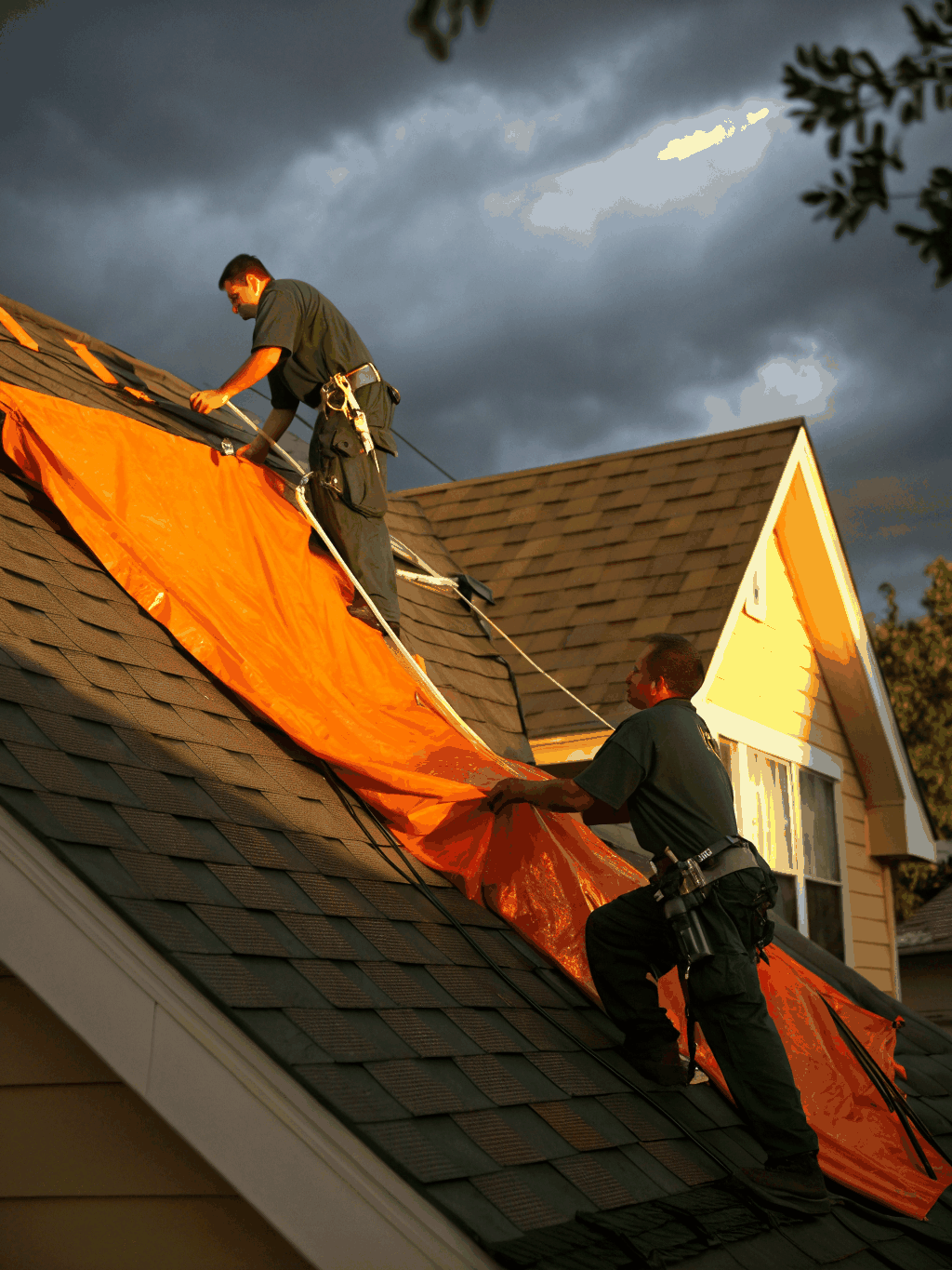 Professional roofing team installing high-quality shingles
